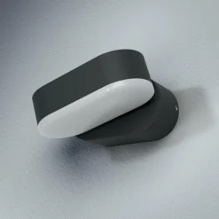 Applique murale d'extérieur LEDVANCE ENDURA Noir, 1 lumière