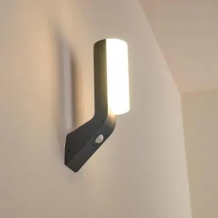 Applique murale d'extérieur Porus LED Anthracite, 1 lumière, Détecteur de mouvement