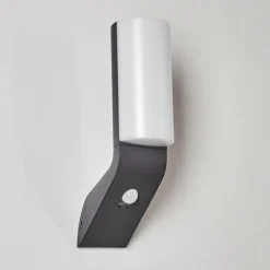 Applique murale d'extérieur Porus LED Anthracite, 1 lumière, Détecteur de mouvement