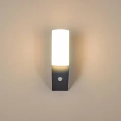 Applique murale d'extérieur Porus LED Anthracite, 1 lumière, Détecteur de mouvement