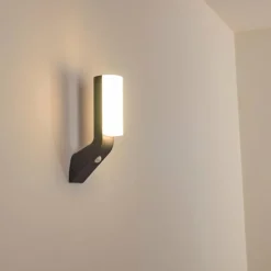 Applique murale d'extérieur Porus LED Anthracite, 1 lumière, Détecteur de mouvement