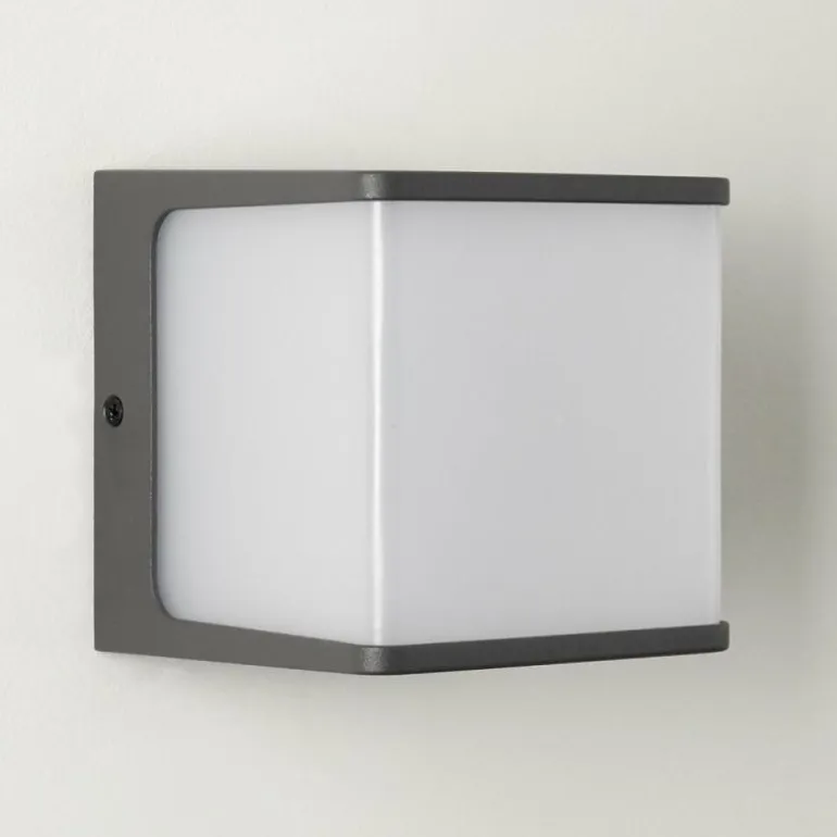 Applique murale d'extérieur Buckau LED Anthracite, Blanc, 1 lumière