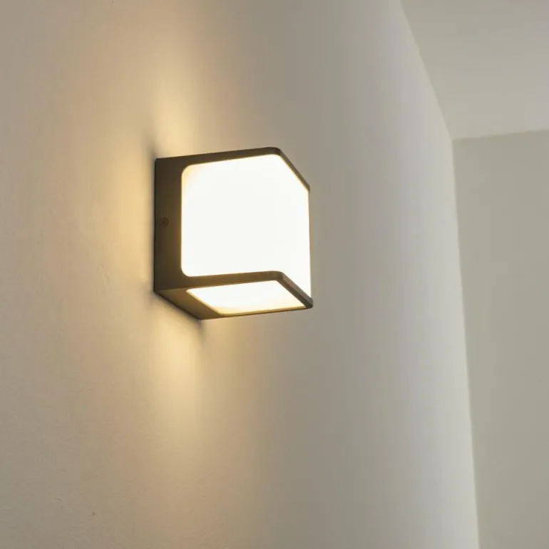 Applique murale d'extérieur Buckau LED Anthracite, Blanc, 1 lumière