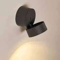 Applique murale d'extérieur Schelde LED Anthracite, 1 lumière