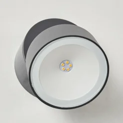 Applique murale d'extérieur Schelde LED Anthracite, 1 lumière