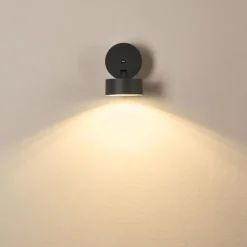 Applique murale d'extérieur Schelde LED Anthracite, 1 lumière