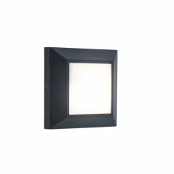 Applique murale d'extérieur LUTEC HELENA LED Anthracite, 1 lumière