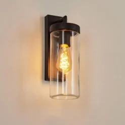 Applique murale d'extérieur Alegcirasn Noir, 1 lumière