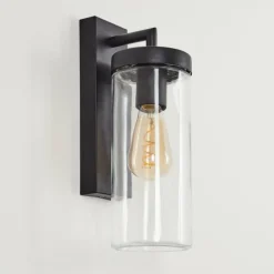 Applique murale d'extérieur Alegcirasn Noir, 1 lumière