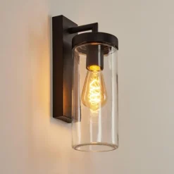 Applique murale d'extérieur Alegcirasn Noir, 1 lumière