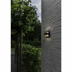 Applique murale d'extérieur Lutec DELTA LED Anthracite, 1 lumière