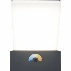 Applique murale d'extérieur Lutec Pano LED Anthracite, 1 lumière