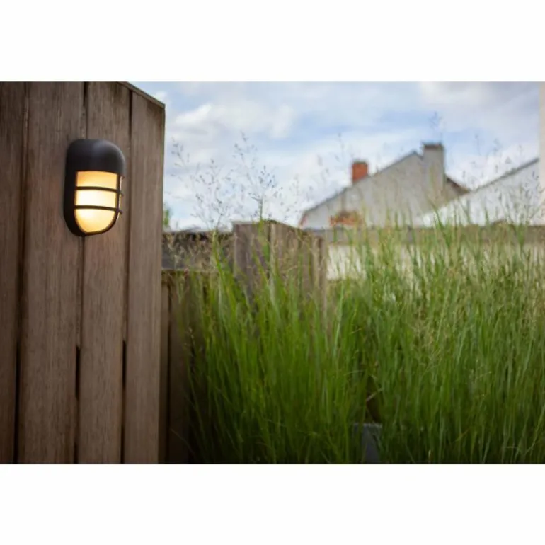 Applique murale d'extérieur Lutec Bullo LED Brun, Rouille, 1 lumière