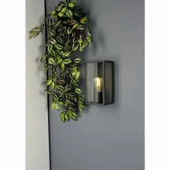 Applique murale d'extérieur Lutec Mirage Anthracite, 1 lumière