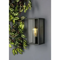Applique murale d'extérieur Lutec Mirage Anthracite, 1 lumière
