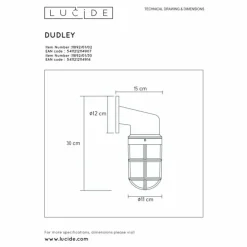 Applique murale d'extérieur Lucide DUDLEY Or, Laiton, 1 lumière