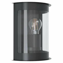 Applique murale d'extérieur Eglo DARIL Noir, 1 lumière