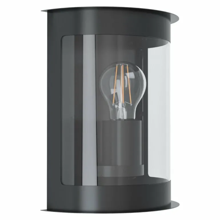 Applique murale d'extérieur Eglo DARIL Noir, 1 lumière