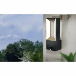 Applique murale d'extérieur Eglo RIFORANO LED Noir, 2 lumières, Détecteur de mouvement