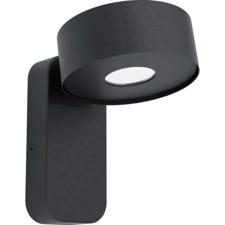 Applique murale d'extérieur Eglo PALOSCO LED Noir, 1 lumière