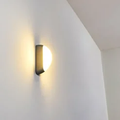 Applique murale d'extérieur Arvier LED Gris, 1 lumière