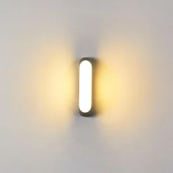 Applique murale d'extérieur Arvier LED Gris, 1 lumière