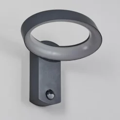 Applique murale d'extérieur Carinola LED Anthracite, 1 lumière, Détecteur de mouvement