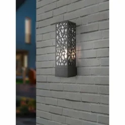 Applique murale d'extérieur Trio Cooper Anthracite, 1 lumière