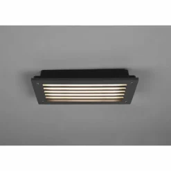 Applique murale d'extérieur Trio Hardey LED Anthracite, 1 lumière