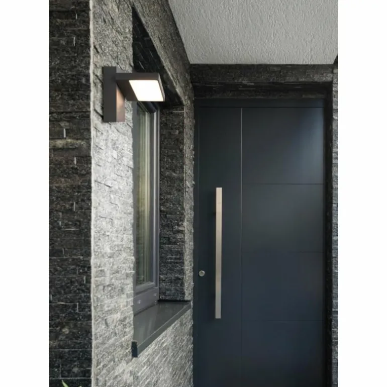 Applique murale d'extérieur Trio Horton LED Anthracite, 1 lumière