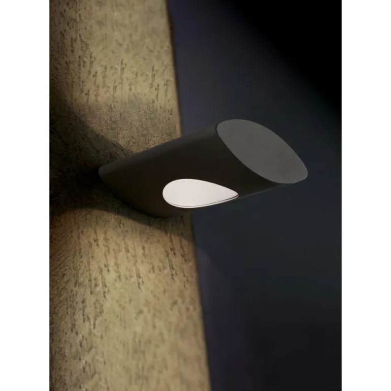 Applique murale d'extérieur Trio Katun LED Anthracite, 1 lumière
