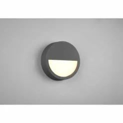 Applique murale d'extérieur Trio Pedro LED Anthracite, 1 lumière