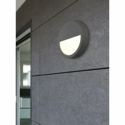 Applique murale d'extérieur Trio Pedro LED Anthracite, 1 lumière