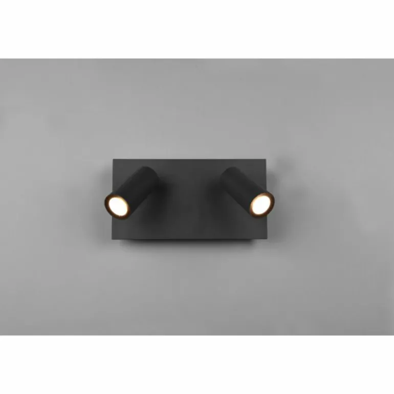 Applique murale d'extérieur Trio Tunga LED Anthracite, 2 lumières