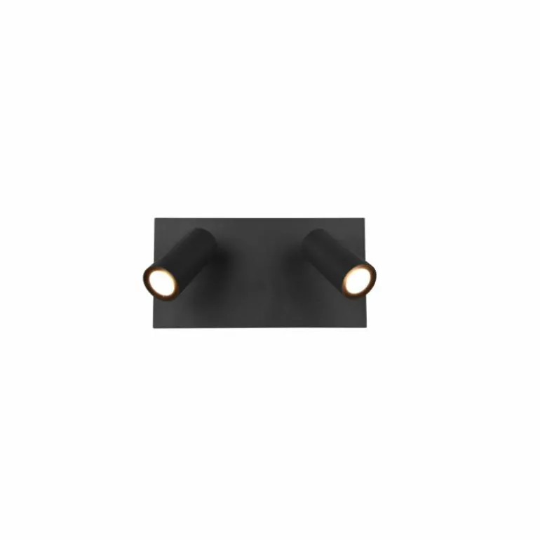 Applique murale d'extérieur Trio Tunga LED Anthracite, 2 lumières