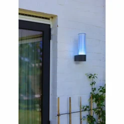 Applique murale d'extérieur Lutec DROPA LED Anthracite, 1 lumière, Changeur de couleurs