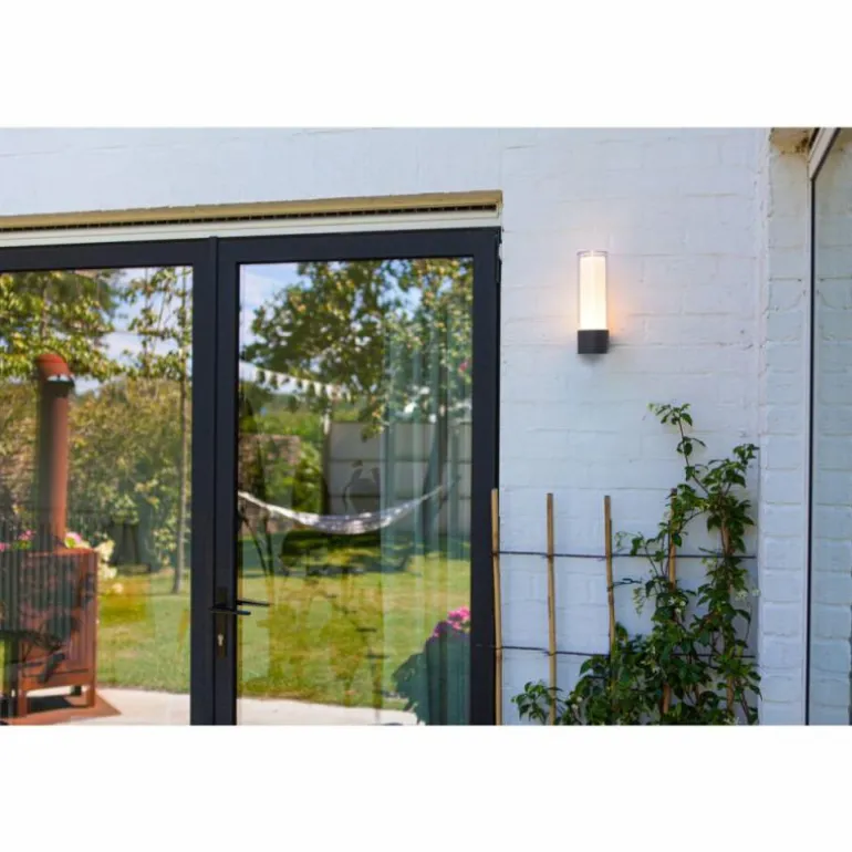 Applique murale d'extérieur Lutec DROPA LED Anthracite, 1 lumière, Changeur de couleurs