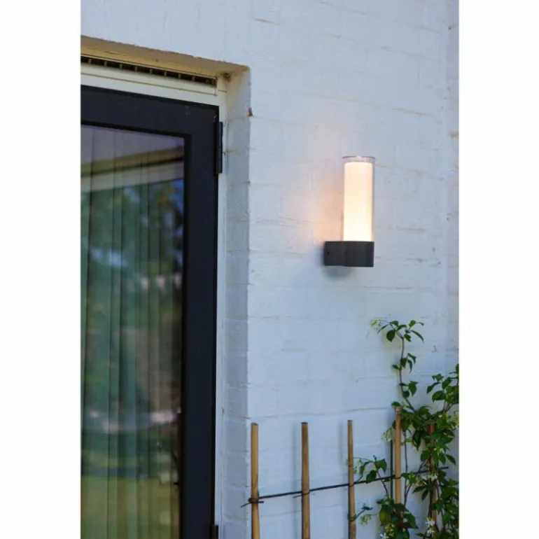 Applique murale d'extérieur Lutec DROPA LED Anthracite, 1 lumière, Changeur de couleurs