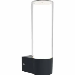 Applique murale d'extérieur Lutec DROPA LED Anthracite, 1 lumière, Changeur de couleurs