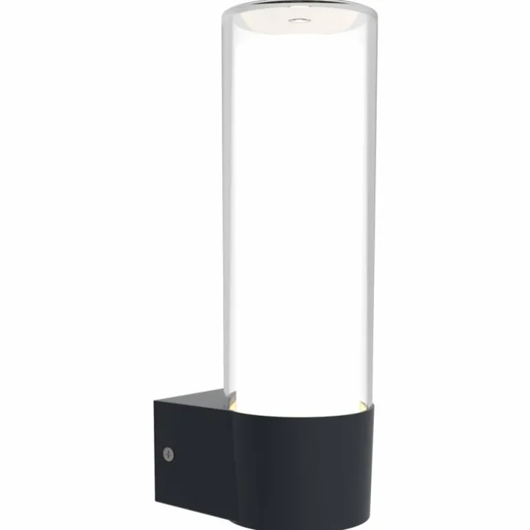 Applique murale d'extérieur Lutec DROPA LED Anthracite, 1 lumière, Changeur de couleurs