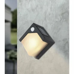 Applique murale d'extérieur Globo Solar LED Noir, 8 lumières, Détecteur de mouvement
