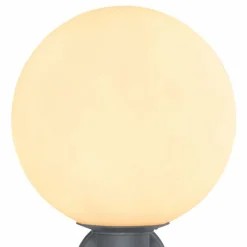 Applique murale d'extérieur Globo OSSY Anthracite, 1 lumière