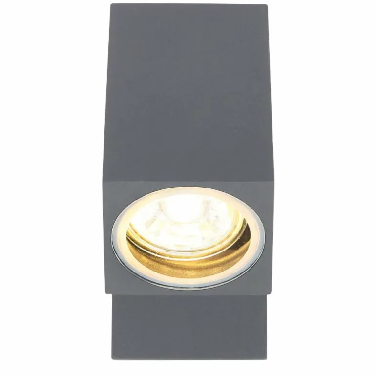 Applique murale d'extérieur Globo VERONIKA Anthracite, 1 lumière