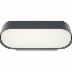 Applique murale d'extérieur Brillliant Samira LED Noir, 1 lumière
