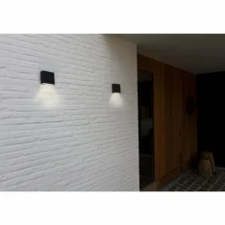 Applique murale d'extérieur Lutec Gemini XF LED Noir, 1 lumière