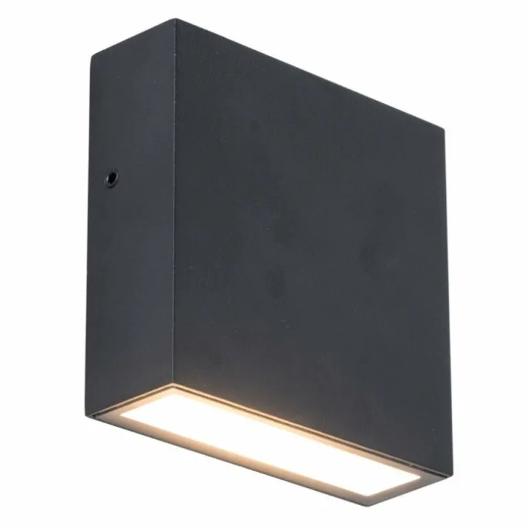 Applique murale d'extérieur Lutec Gemini XF LED Noir, 1 lumière