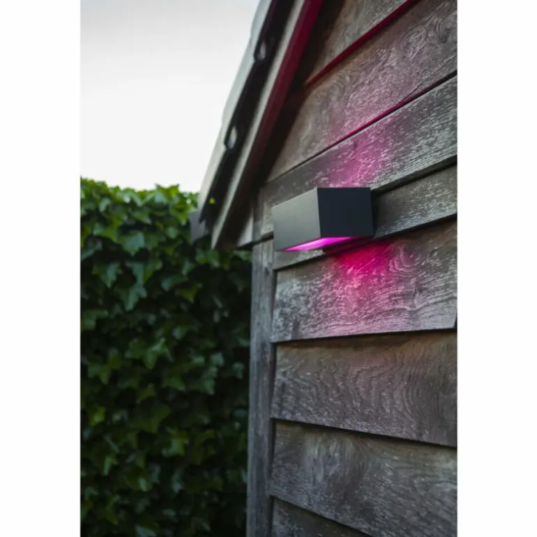 Applique murale d'extérieur Lutec GEMINI LED Anthracite, 2 lumières, Changeur de couleurs