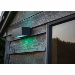 Applique murale d'extérieur Lutec GEMINI LED Anthracite, 2 lumières, Changeur de couleurs