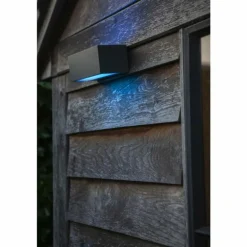 Applique murale d'extérieur Lutec GEMINI LED Anthracite, 2 lumières, Changeur de couleurs