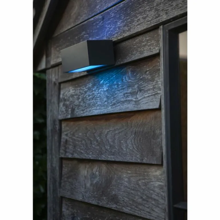Applique murale d'extérieur Lutec GEMINI LED Anthracite, 2 lumières, Changeur de couleurs